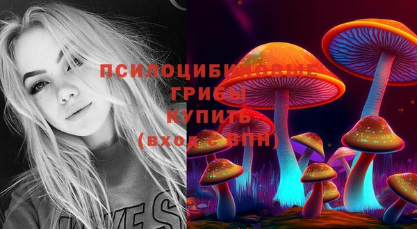 ECSTASY Бугульма