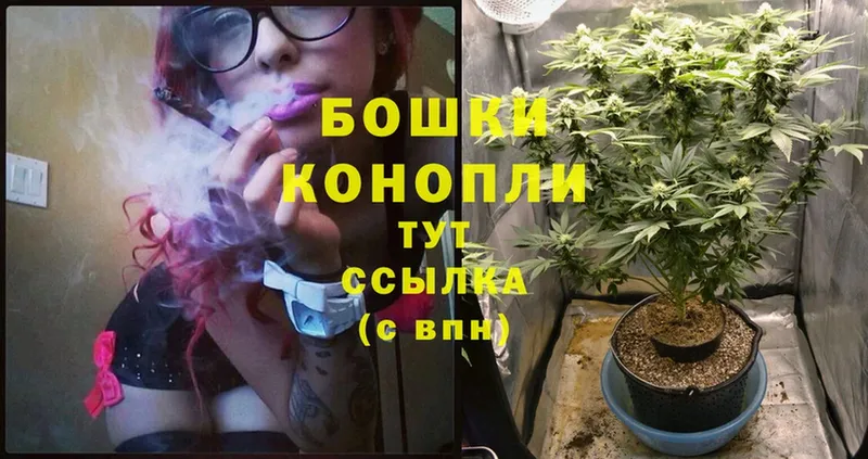 МЕГА зеркало  Пятигорск  Канабис THC 21% 